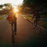 狗带